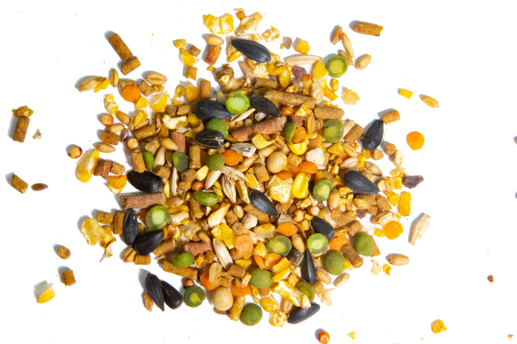 Henhouse Reserve® Feed for Chickens and Poultry