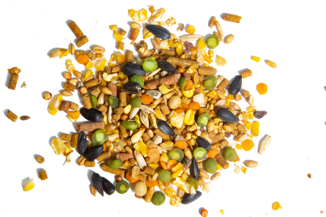 Henhouse Reserve® Feed for Chickens and Poultry