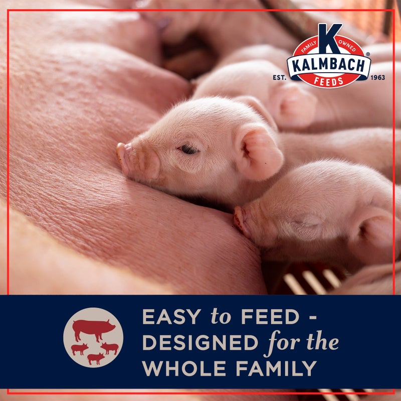 Family Fixin's® Sow & Pig (Organic)