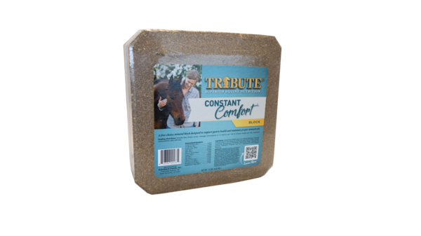Constant Comfort® Block for 24/7 Horse Gut Health Support