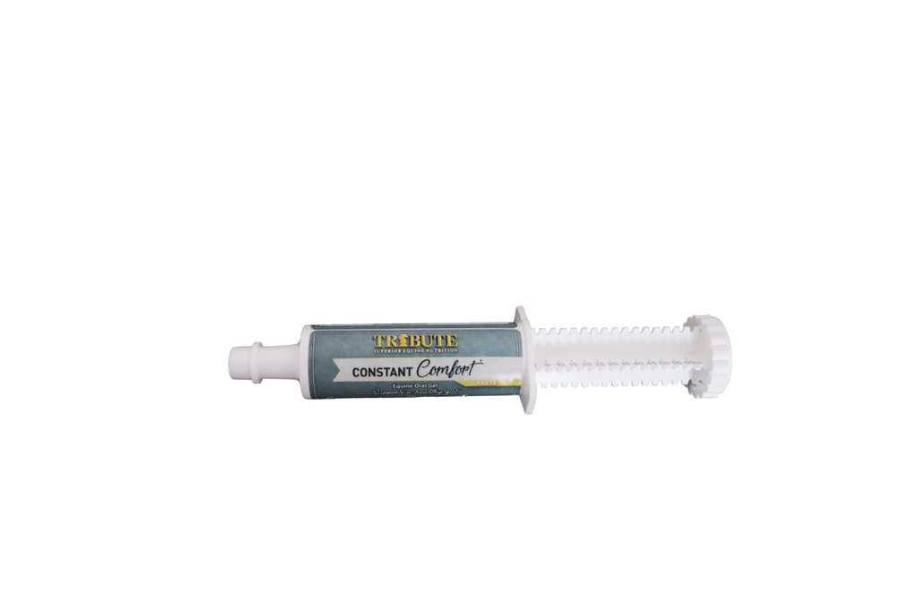 Constant Comfort® Paste,