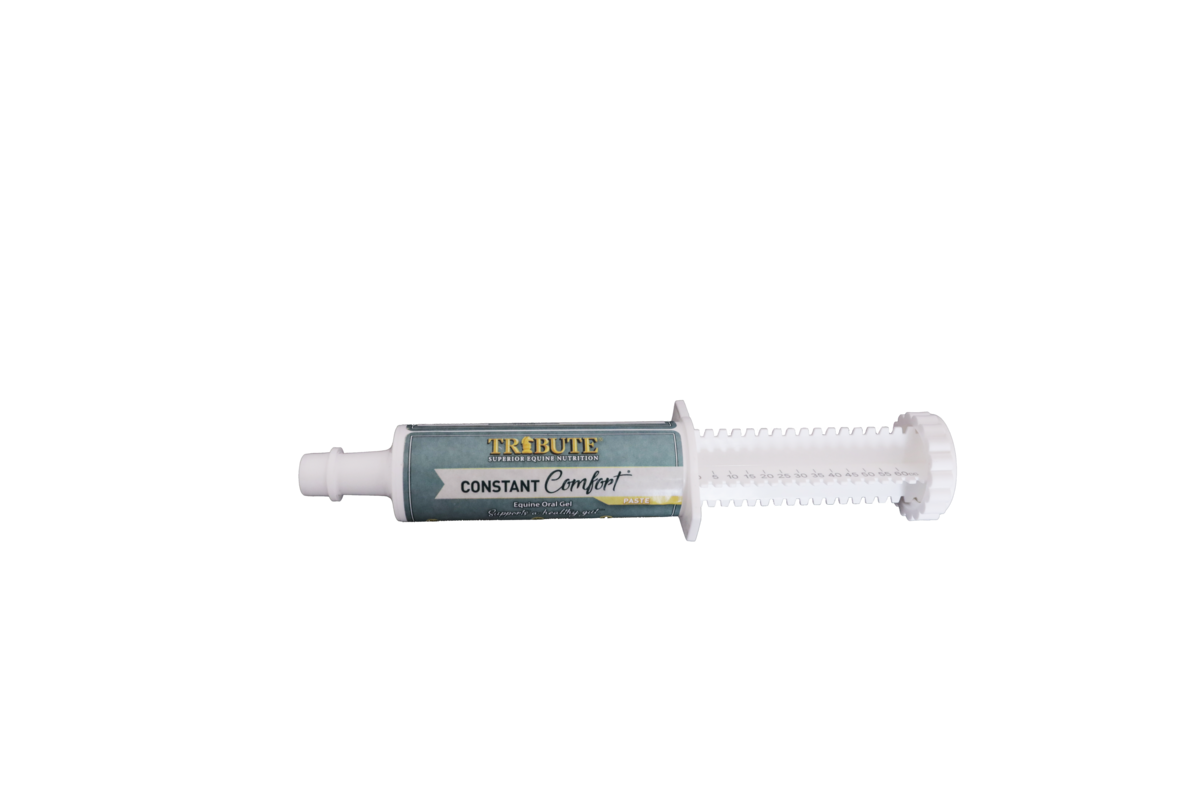 Constant Comfort® Paste,