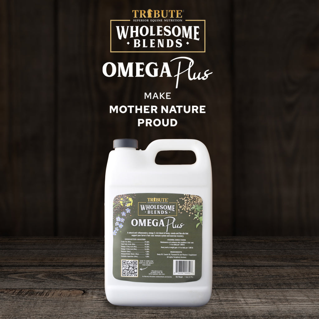 Wholesome Blends® Omega Plus,