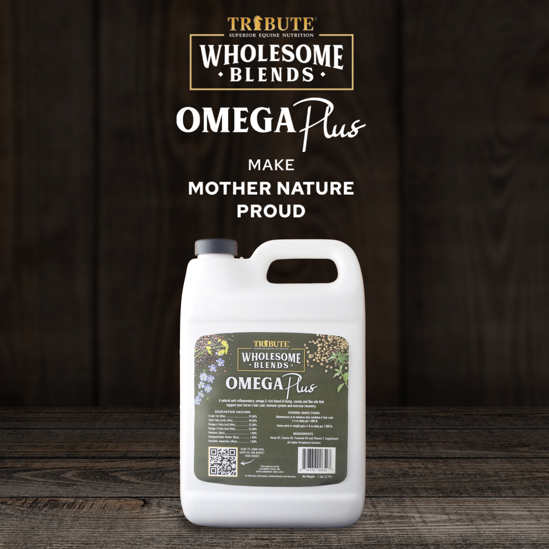 Wholesome Blends® Omega Plus,