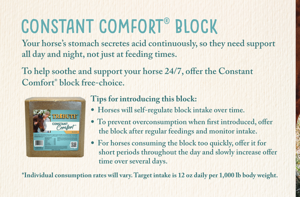 Constant Comfort® Block for 24/7 Horse Gut Health Support