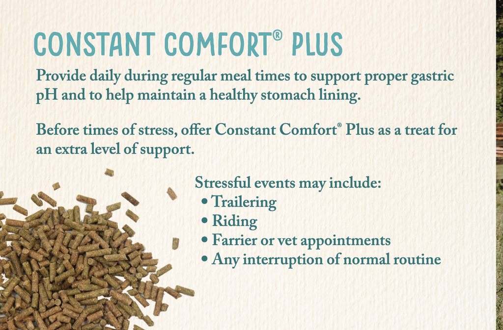 Constant Comfort® Plus