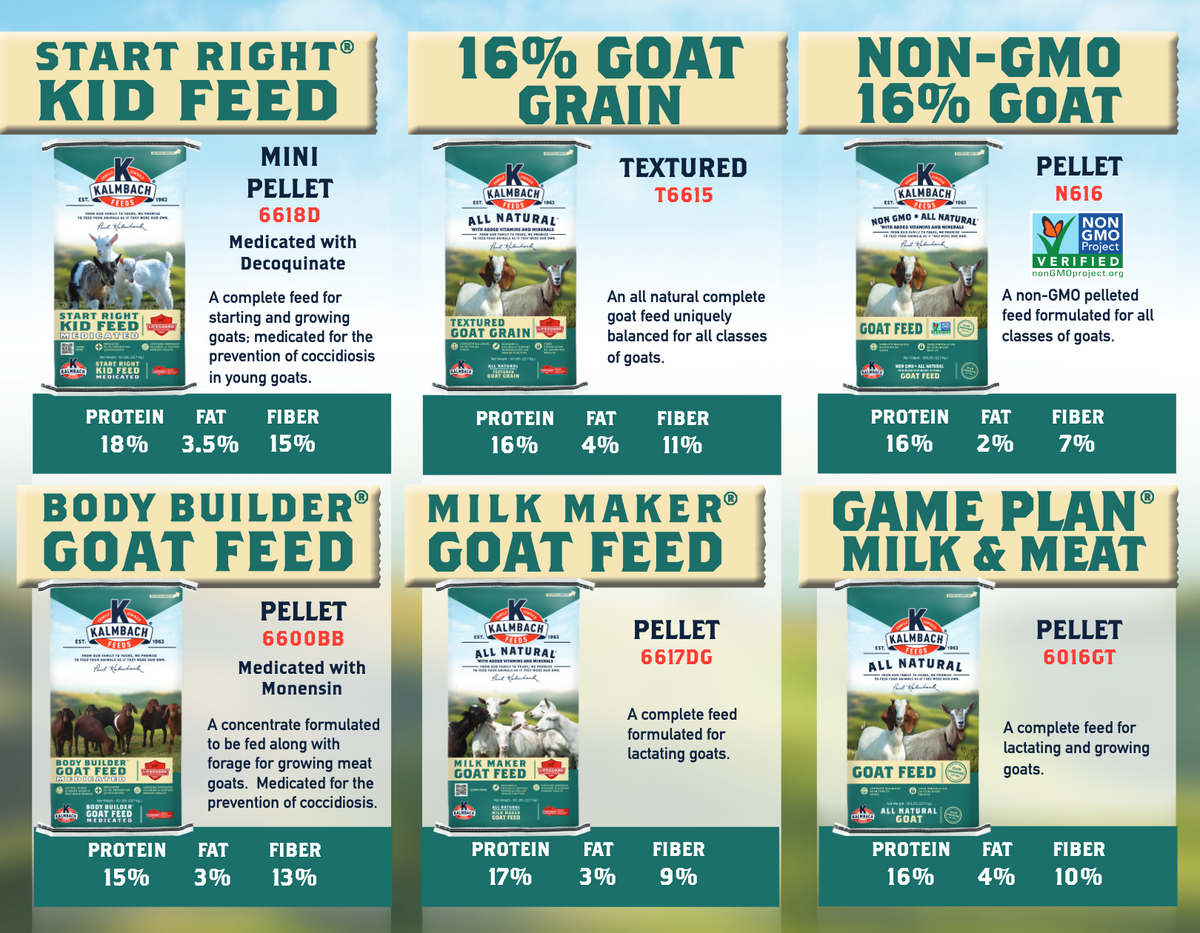 16% Goat Grain