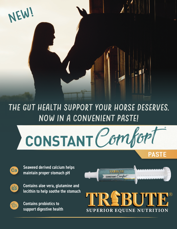 Constant Comfort® Paste,