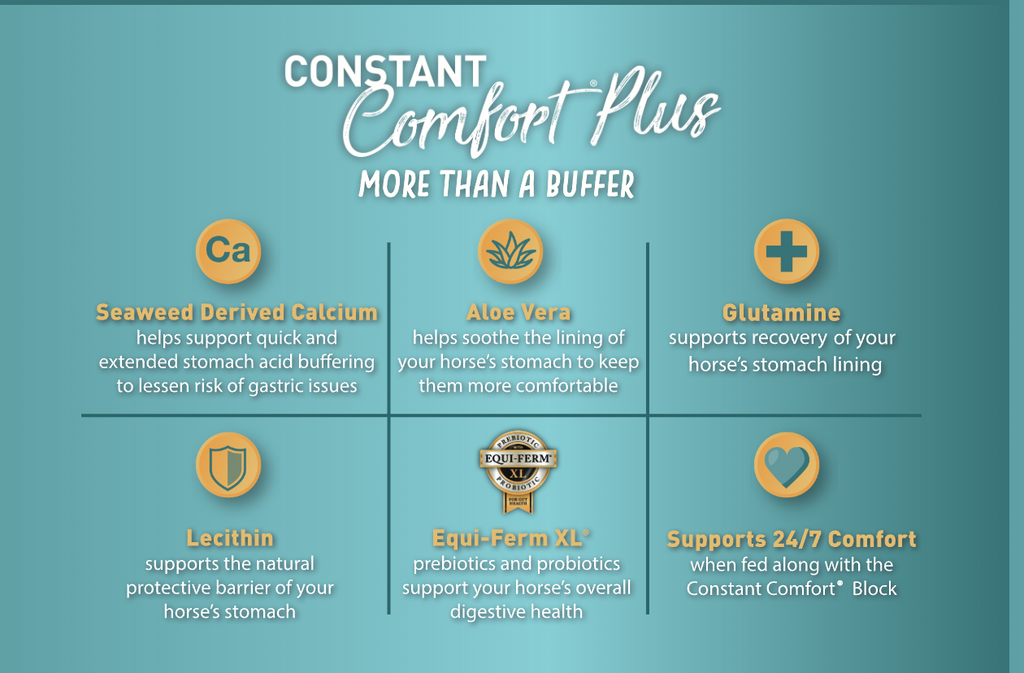 Constant Comfort® Plus
