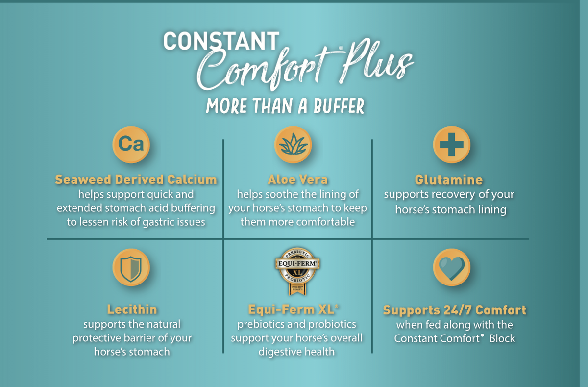 Constant Comfort® Plus